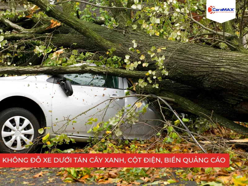 Không đỗ xe dưới tán cây xanh, cột điện, biển quảng cáo
