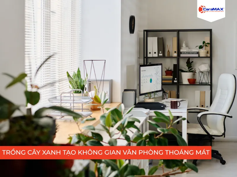 Trồng cây xanh trong văn phòng để tạo không gian thoáng mát thoải mái
