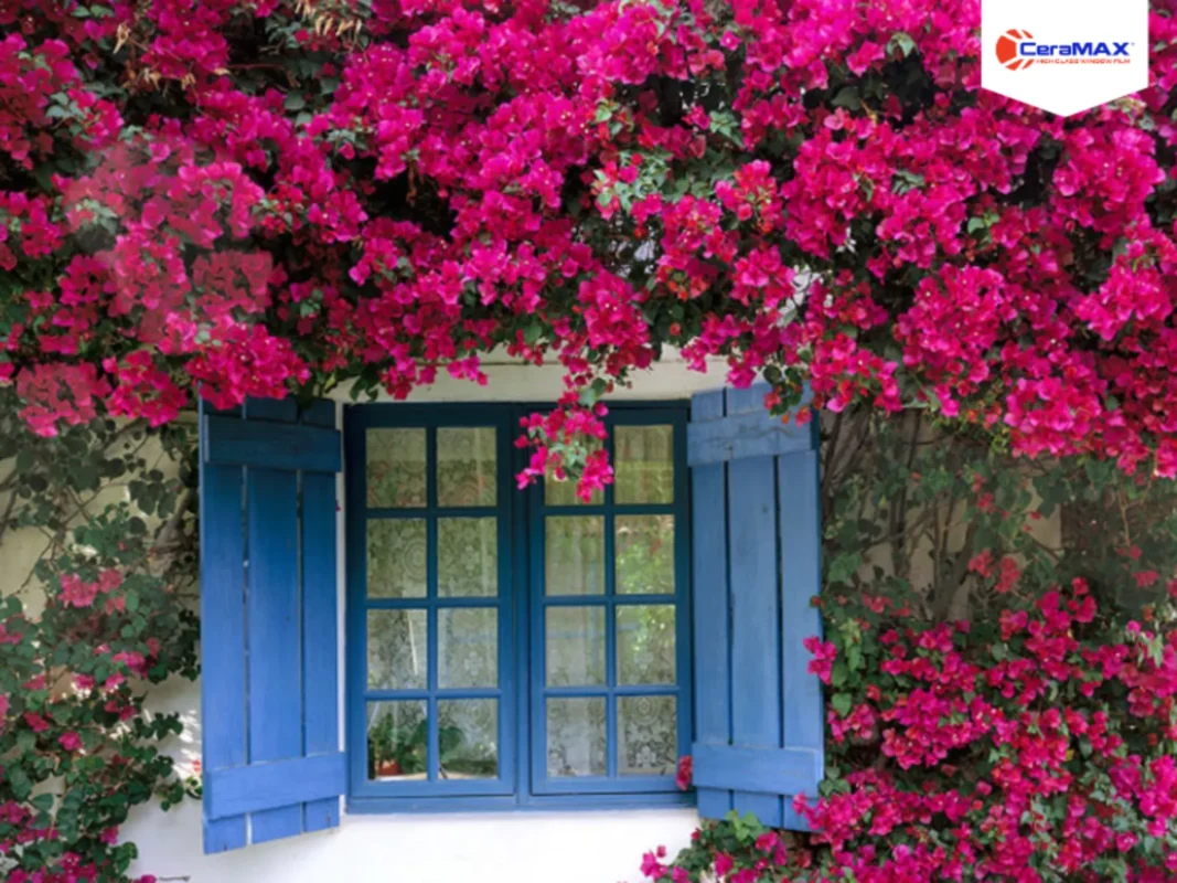 Cách chống nóng nhà hướng Tây hiệu quả và giải pháp che nắng cho nhà hướng Tây chuẩn phong thủy cho nhà mặt tiền hướng Tây