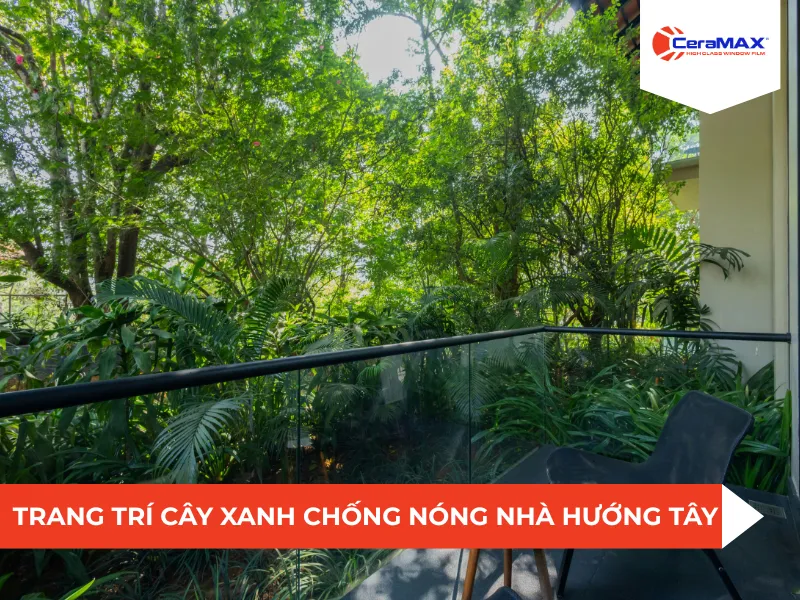 Chống nóng mặt tiền nhà hướng tây bằng cây xanh